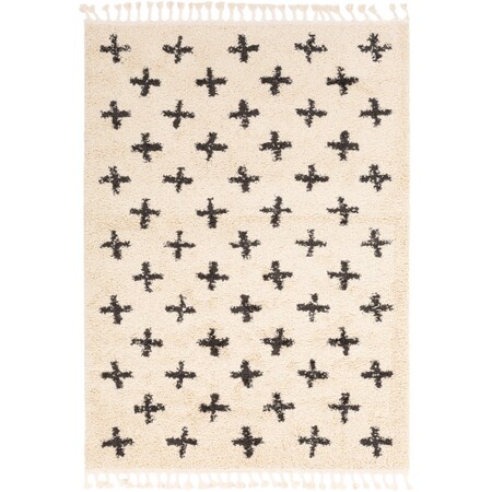 Surya BBE2310-5373 Berber Shag - Rugs, Rug Size: 5